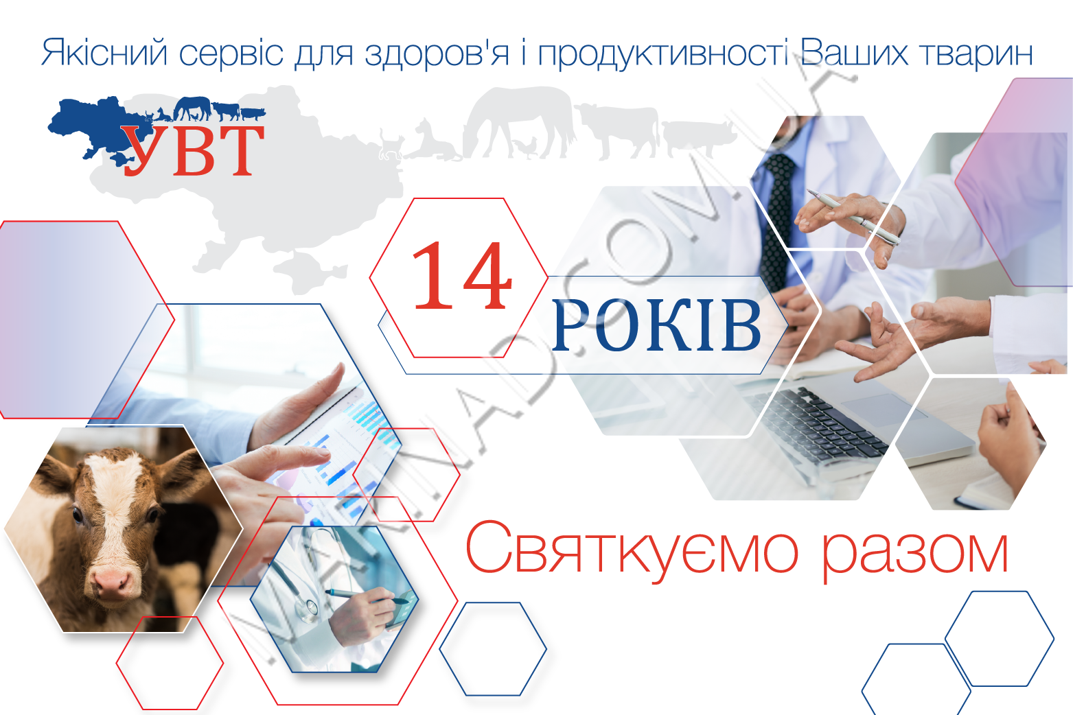 The company “Ukrainian veterinary technologies”